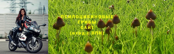 таблы Белоозёрский