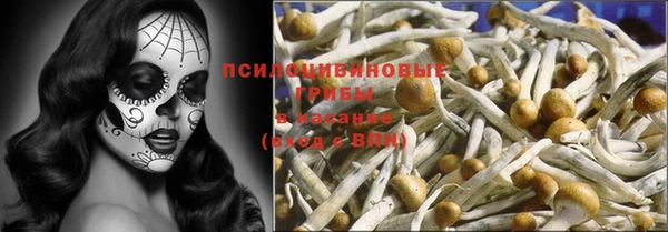 PSILOCYBIN Белокуриха